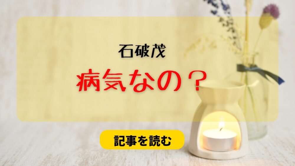 石破茂は病気なの？病名候補4つ！睡眠時無呼吸症候群＆ナルコレプシー？